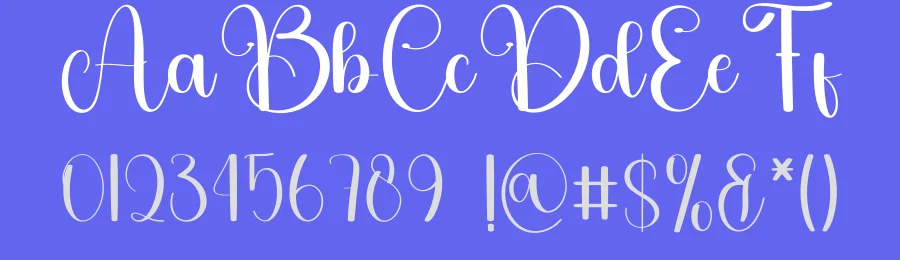 Rustic Elegant – Modern Script Handwritten Font by freshtypeink — Script Handwritten Font — thumbnail 3