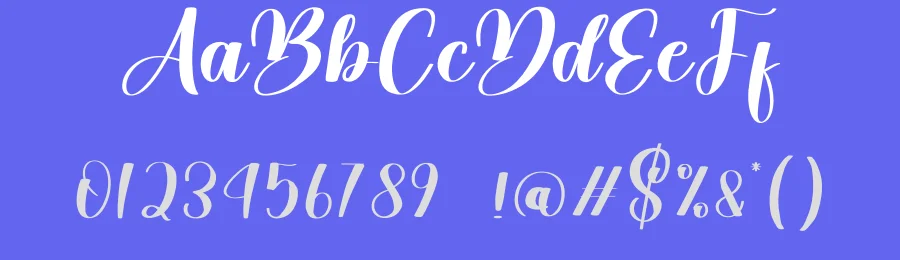 Rustical Calligraphy Font by andikastudio — Script Handwritten Font — thumbnail 3