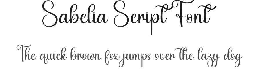 Sabelia Script Font by creativeletter — Script Handwritten Font