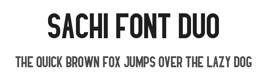 Sachi Font Duo by lemonthe — Sans Serif Font