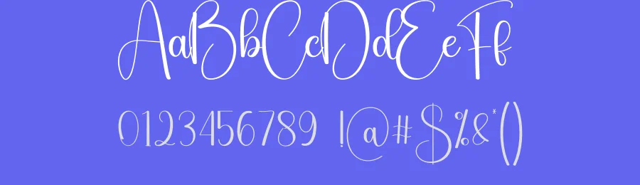 Sadnight Calligraphy Font by creativeletter — Script Handwritten Font — thumbnail 3