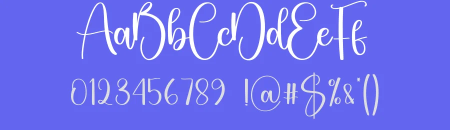 Sadnight Script Typeface by Berkah Shop — Script Handwritten Font — thumbnail 3