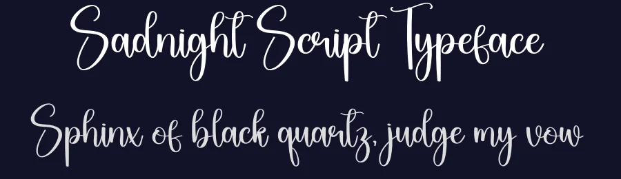 Sadnight Script Typeface by Berkah Shop — Script Handwritten Font — thumbnail 2
