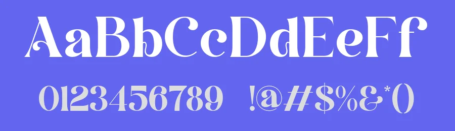 Safena Font by ErmediaStudio — Serif Font — thumbnail 3