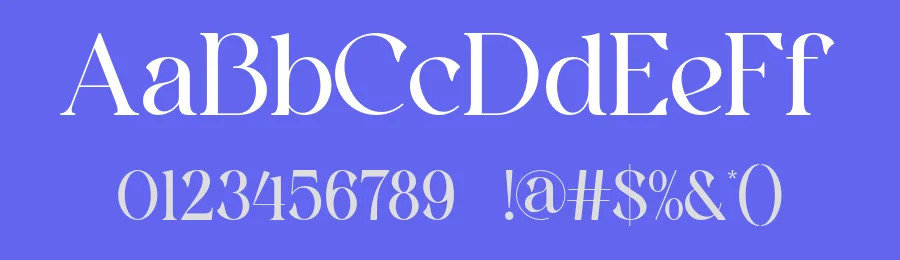 Safera Font by ErmediaStudio — Serif Font — thumbnail 3
