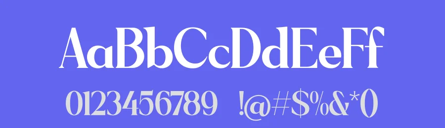 Sagfield Font by Amorfa Type — Serif Font — thumbnail 3