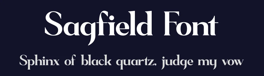 Sagfield Font by Amorfa Type — Serif Font — thumbnail 2