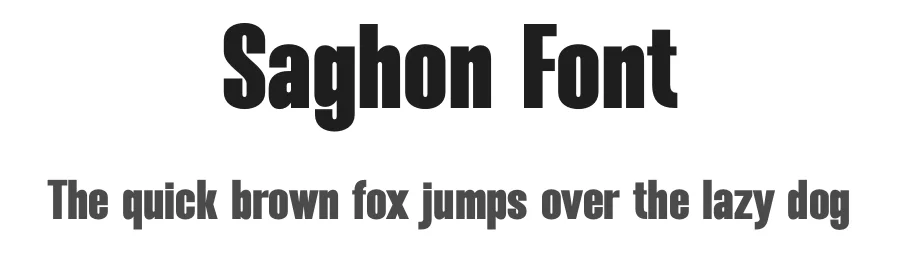 Saghon Font by Almeera Studio — Sans Serif Font