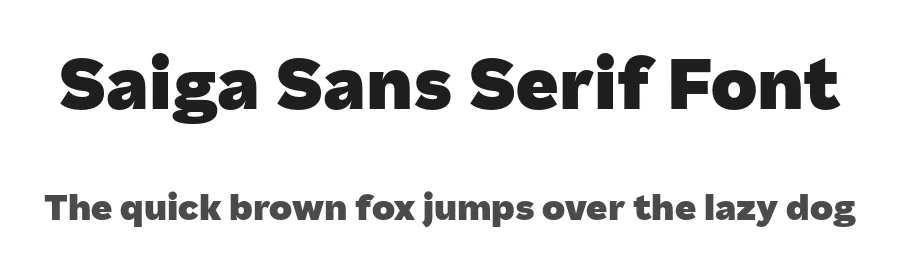 Saiga Sans Serif Font by Teo Tuominen โ Sans Serif Font