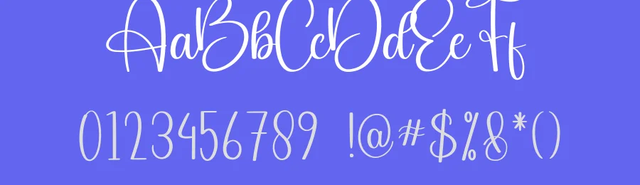 Sailing Script Font by creativeletter — Script Handwritten Font — thumbnail 3