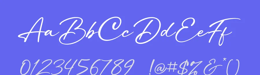 Sailor Religne signature Font by Basnistudio — Script Handwritten Font — thumbnail 3