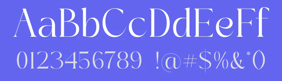 Sainer Bagora Font by timelesstype.co — Serif Font — thumbnail 3