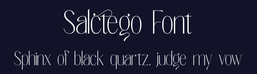 Salctego Font by timelesstype.co — Display Font — thumbnail 2