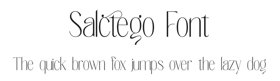 Salctego Font by timelesstype.co — Display Font