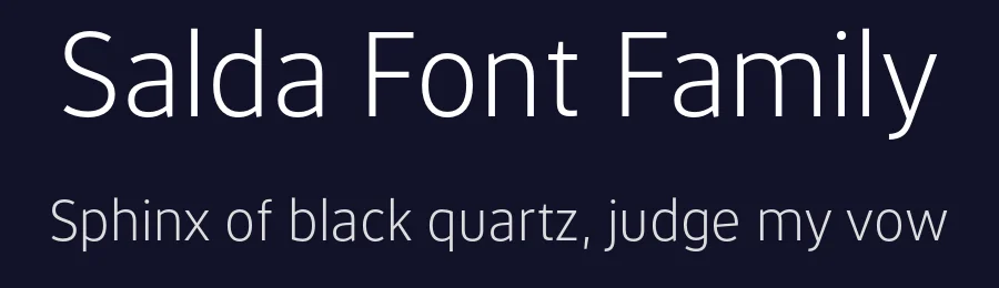 Salda Font Family by Hurufatfont — Sans Serif Font — thumbnail 2