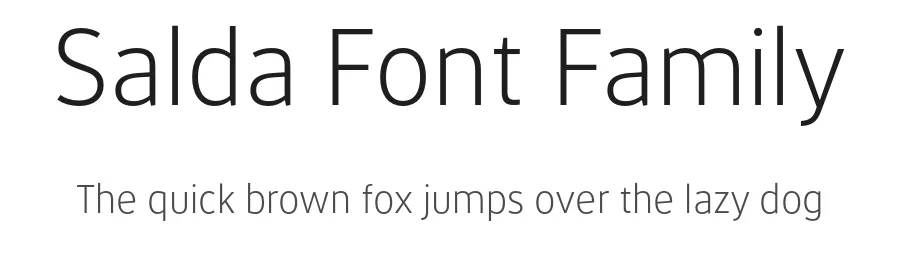 Salda Font Family by Hurufatfont β Sans Serif Font