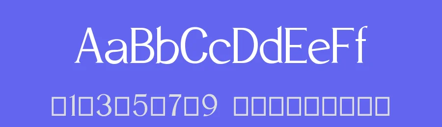 Salemore Longest Font by Viaction Type — Serif Font — thumbnail 3
