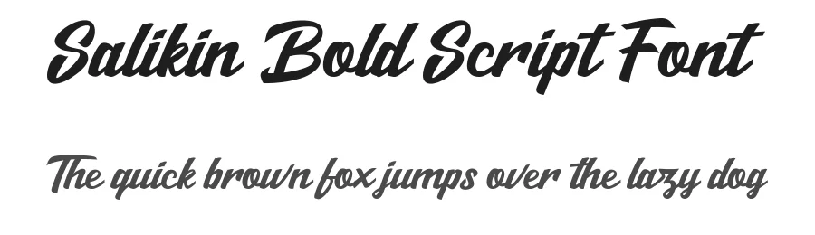 Salikin Bold Script Font by trustha β Script Handwritten Font