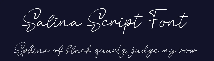 Salina Script Font by Funtype — Serif Font — thumbnail 2