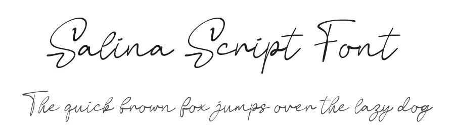 Salina Script Font by Funtype — Serif Font