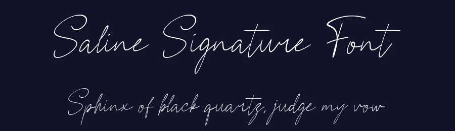 Saline Signature Font by Funtype — Serif Font — thumbnail 2