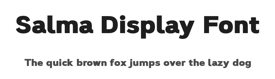 Salma Display Font by alifinart — Sans Serif Font