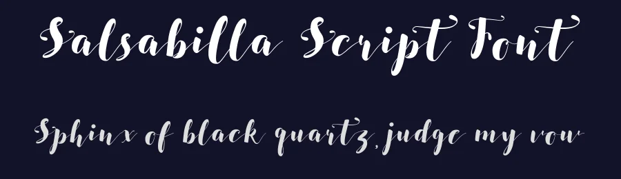 Salsabilla Script Font by Wox/CoreLine Type — Script Handwritten Font — thumbnail 2