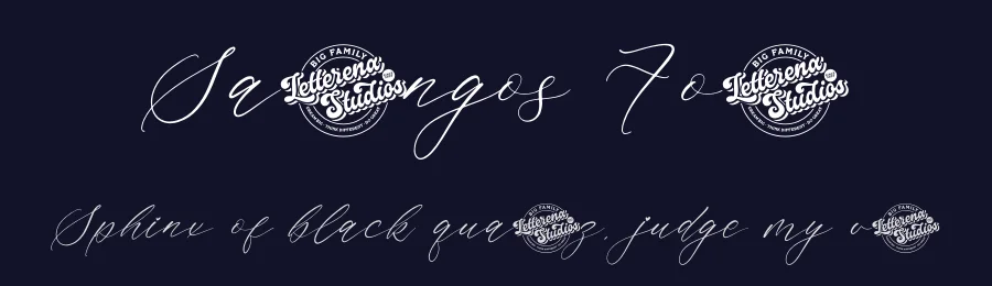 Saltngos Font by letterenastudios — Script Handwritten Font — thumbnail 2