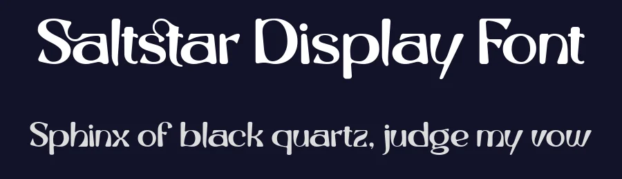 Saltstar Display Font by Grontype — Display Font — thumbnail 2