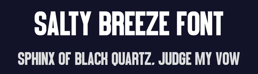 Salty Breeze Font by Craftedtype — Decorative Font — thumbnail 2