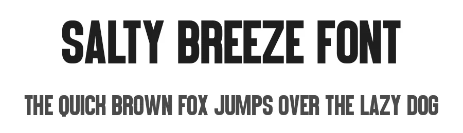 Salty Breeze Font by Craftedtype — Decorative Font