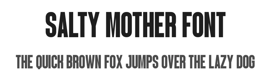 Salty Mother Font by Craftedtype — Decorative Font