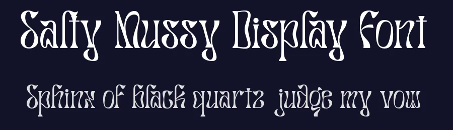 Salty Mussy Display Font by Dharmas Studio — Decorative Font — thumbnail 2