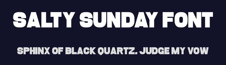Salty Sunday Font by Craftedtype — Decorative Font — thumbnail 2