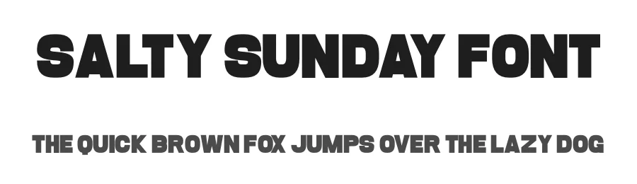 Salty Sunday Font by Craftedtype — Decorative Font