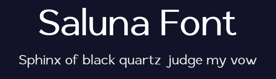 Saluna Font by Say Studio — Sans Serif Font — thumbnail 2