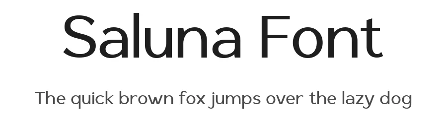 Saluna Font by Say Studio — Sans Serif Font