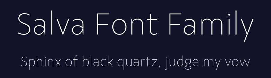 Salva Font Family by Fabio Haag Type — Sans Serif Font — thumbnail 2