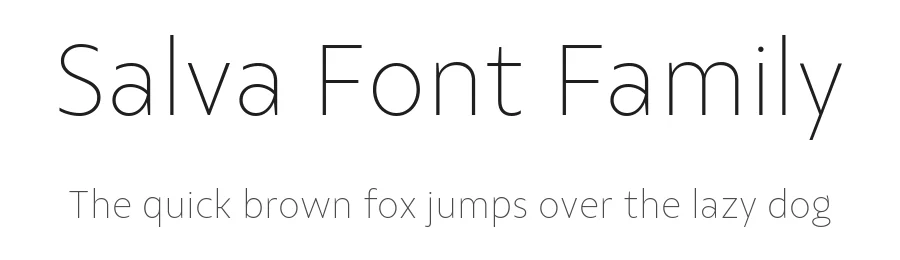 Salva Font Family by Fabio Haag Type — Sans Serif Font