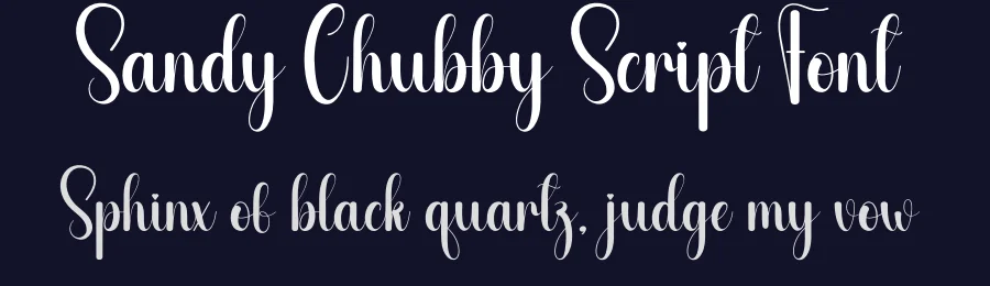 Sandy Chubby Script Font by andikastudio — Script Handwritten Font — thumbnail 2