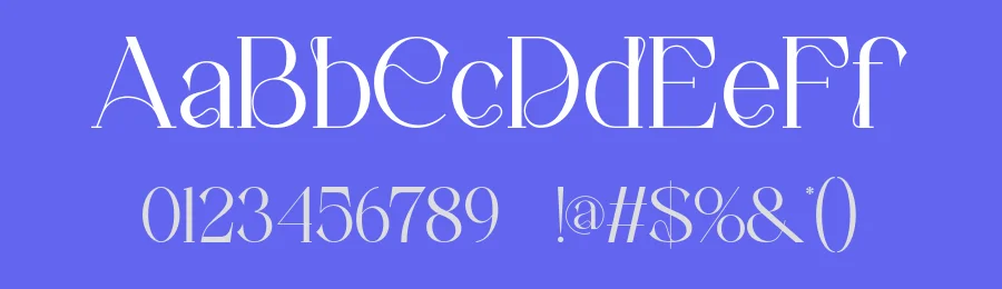 Sanely Font by ErmediaStudio — Serif Font — thumbnail 3
