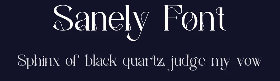 Sanely Font by ErmediaStudio — Serif Font — thumbnail 2