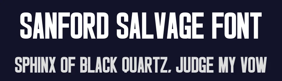 Sanford Salvage Font by Craftedtype — Decorative Font — thumbnail 2