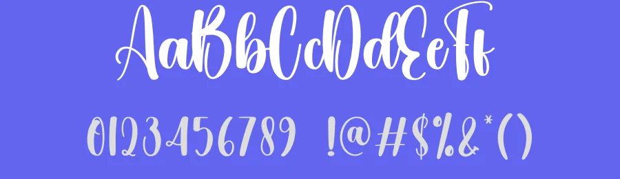 Sanitation Script Font by creativeletter — Script Handwritten Font — thumbnail 3