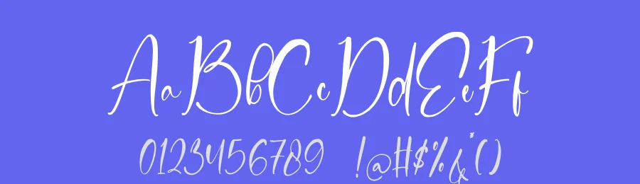 Sanitizer Eticulate Handwritten Font by stylishtype.co — Script Handwritten Font — thumbnail 3