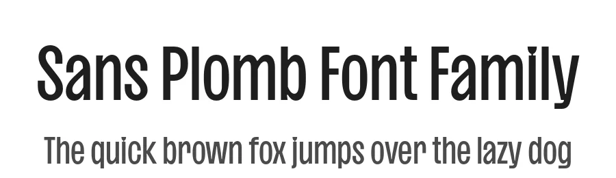 Sans Plomb Font Family by Lift Type — Sans Serif Font