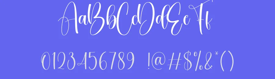 Sarcastic Calligraphy Font by creativeletter — Script Handwritten Font — thumbnail 3