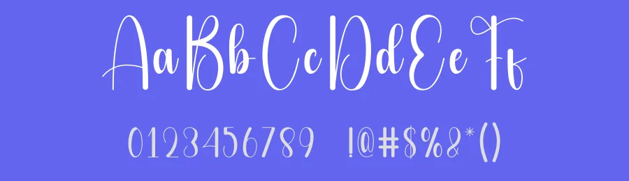Saturday Calligraphy Font by andikastudio — Script Handwritten Font — thumbnail 3