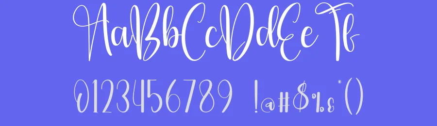 Saturday Calligraphy Font by creativeletter — Script Handwritten Font — thumbnail 3