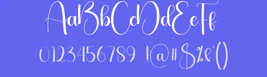 Saturday Calligraphy Font by creativeletter — Script Handwritten Font — thumbnail 3